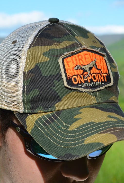 The Original Pointer